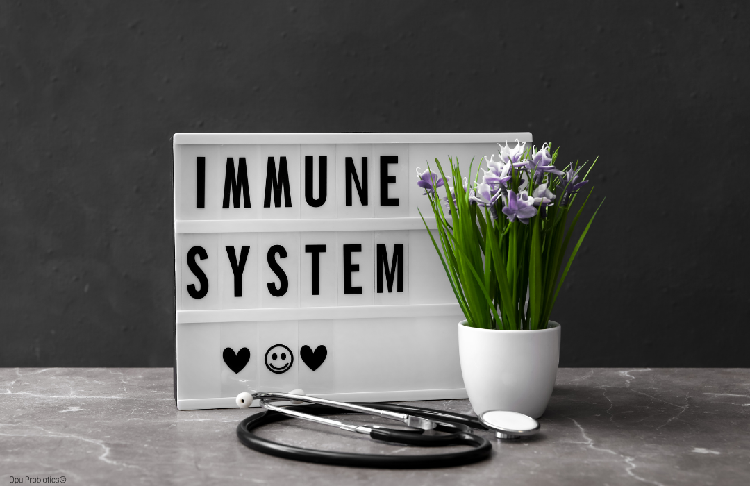 Day 13 - Opu Daily Digest - Your Immune System is Getting a Boost!