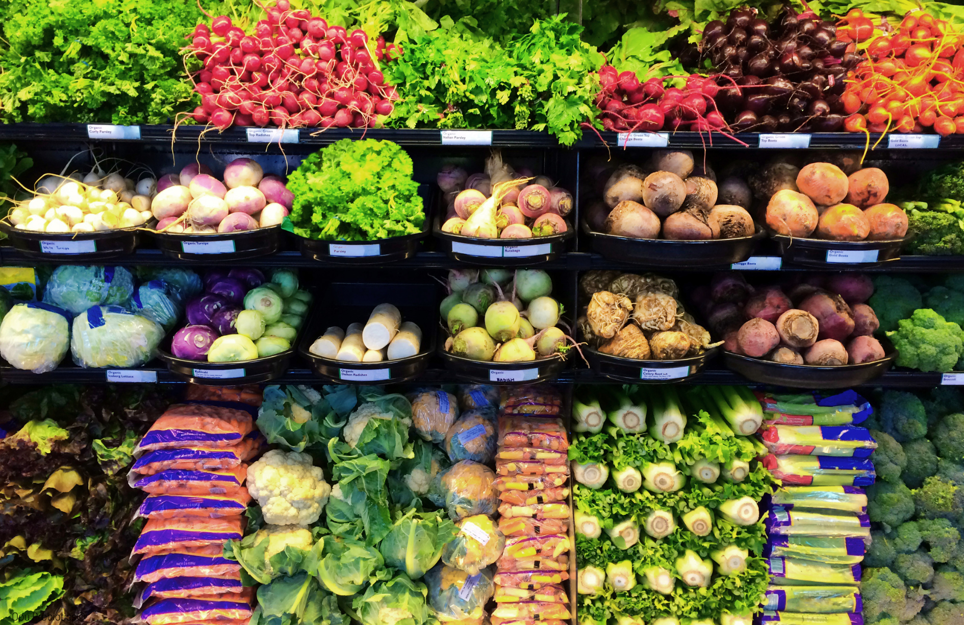 Day 19 - Opu's Daily Digest - The Underrated Gut Heroes Hiding in Your Produce Drawer!