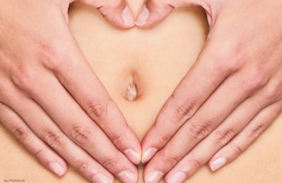 Day 20 - Opu's Daily Digest - Your Microbiome is Starting to Thrive!