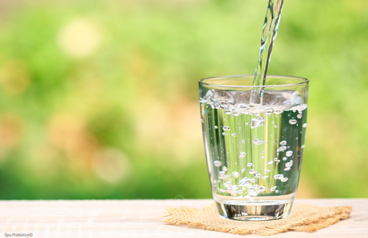 Day 23 - Opu's Daily Digest - Hydration and Hot Weather: Keeping Your Gut Happy!